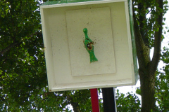 DSC00756